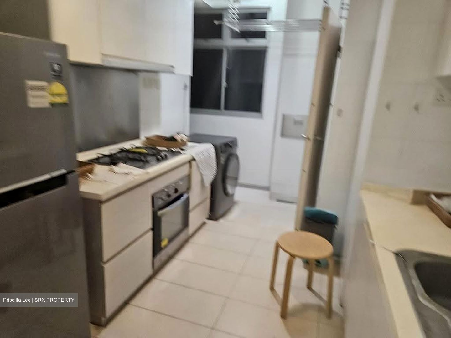 Oasis @ Elias (D18), Condominium #628321631